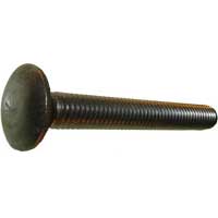 CARRIAGE BOLTS STAINLESS STEEL 316