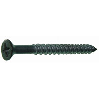 # 12 HEAD BRONZE