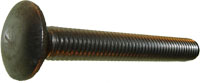 1/2-13 X 14 CARR BOLT 316 S/S 6" THRD