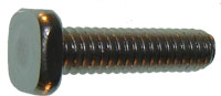 1/4-20 X 3/4 SQ.HD.TRAC BOLT S/S 18-8